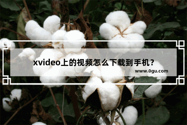 xvideo上的视频怎么下载到手机？