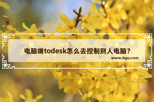 电脑端todesk怎么去控制别人电脑？