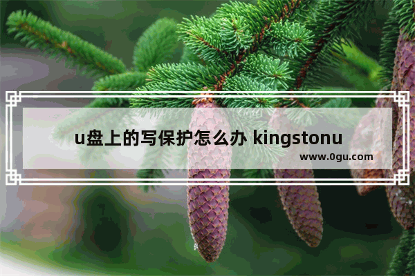 u盘上的写保护怎么办 kingstonu盘写保护怎么办