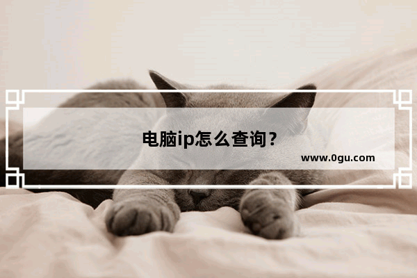 电脑ip怎么查询？