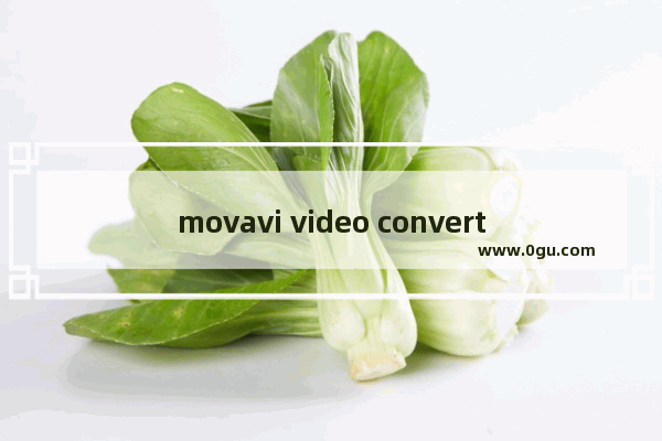 movavi video converter如何关闭视频原声 movavi video converter关闭视频原声的方法