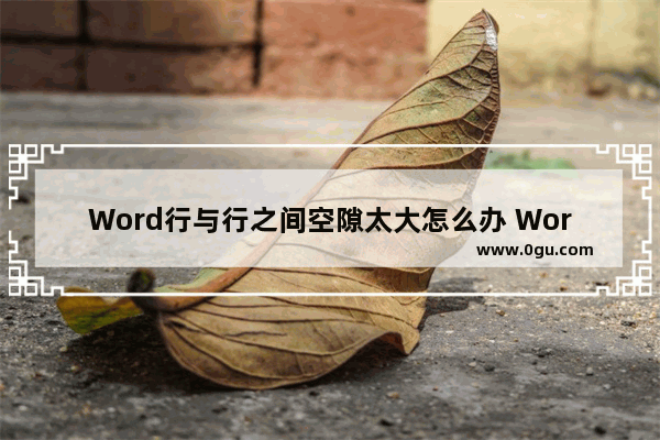 Word行与行之间空隙太大怎么办 Word行与行之间空隙太大的解决方法