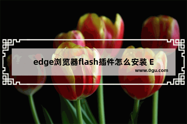 edge浏览器flash插件怎么安装 Edge浏览器添加flash插件的方法