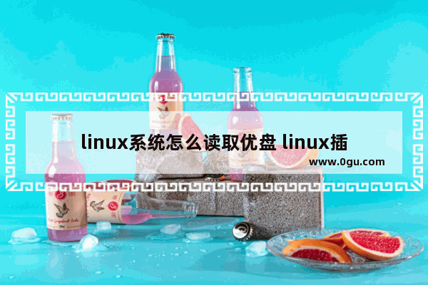 linux系统怎么读取优盘 linux插u盘怎么看