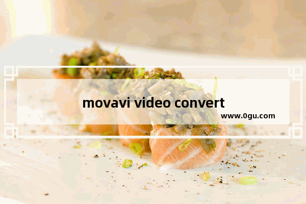 movavi video converter怎么转换MP3格式 movavi video converter将ogg格式转换为MP3格式的方法