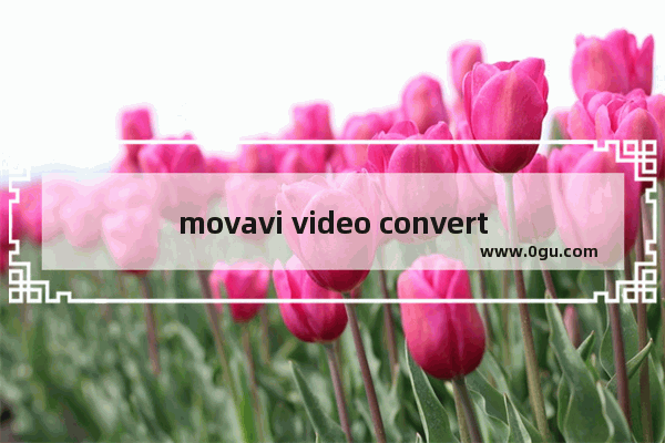 movavi video converter如何消除视频噪音 movavi video converter消除视频噪音的方法