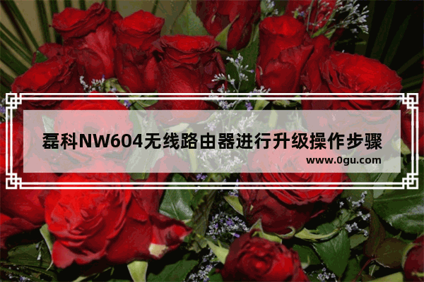 磊科NW604无线路由器进行升级操作步骤