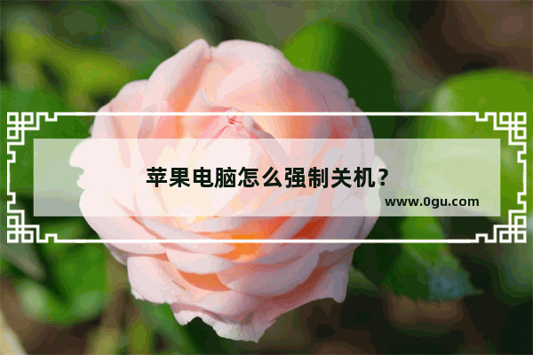 苹果电脑怎么强制关机？