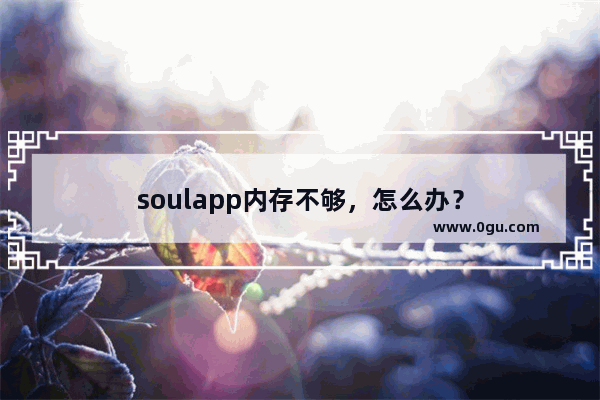 soulapp内存不够，怎么办？