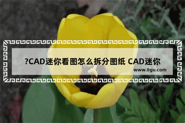 ?CAD迷你看图怎么拆分图纸 CAD迷你看图分割图纸的方法教程