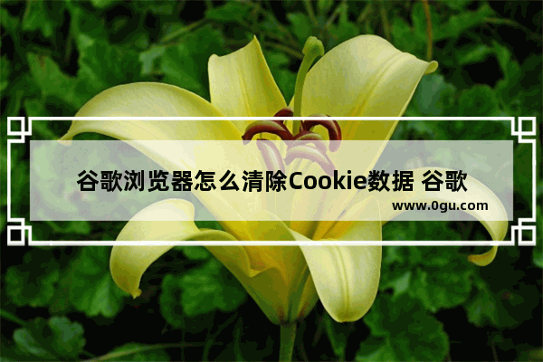 谷歌浏览器怎么清除Cookie数据 谷歌浏览器用快捷键清理缓存的方法