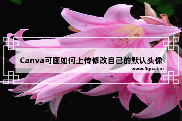 Canva可画如何上传修改自己的默认头像 Canva可画上传修改自己的默认头像的方法