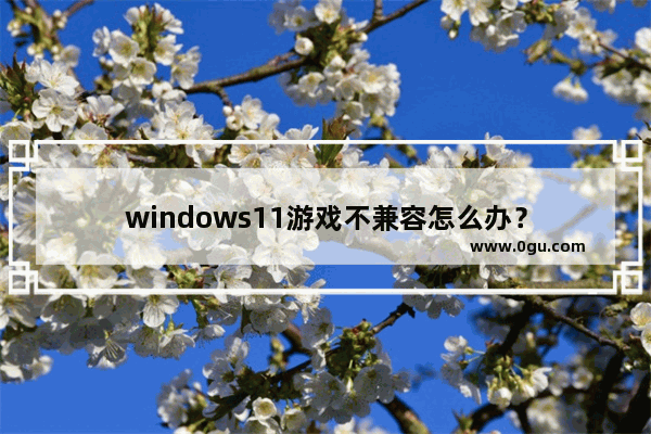 windows11游戏不兼容怎么办？