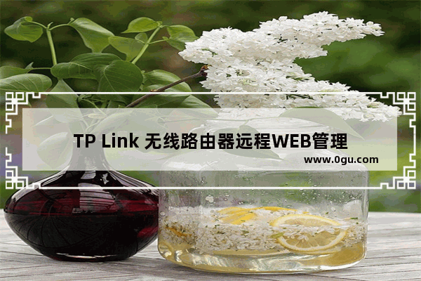 TP Link 无线路由器远程WEB管理功能开启教程