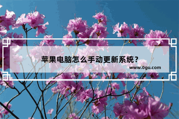 苹果电脑怎么手动更新系统？