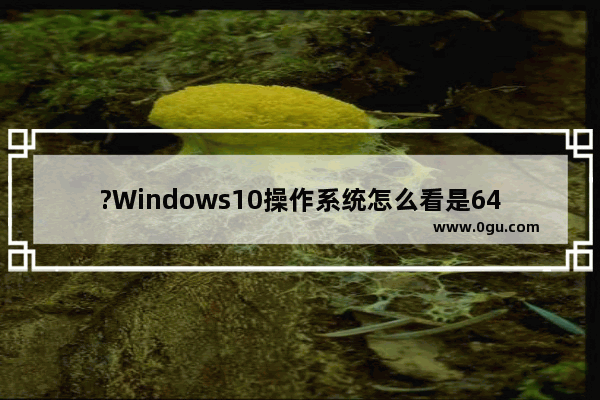 ?Windows10操作系统怎么看是64位还是32位 Win10系统查看系统是多少位的方法教程