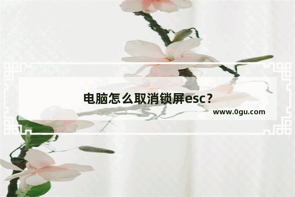 电脑怎么取消锁屏esc？