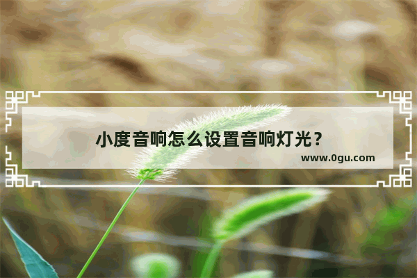 小度音响怎么设置音响灯光？