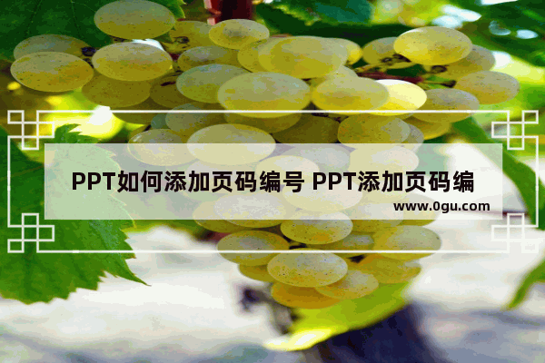 PPT如何添加页码编号 PPT添加页码编号的方法