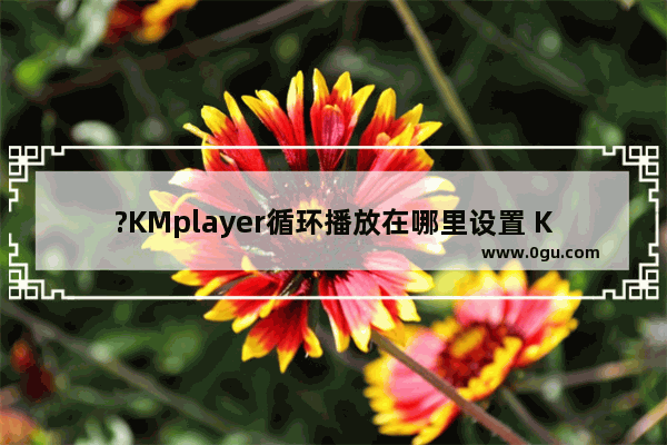 ?KMplayer循环播放在哪里设置 KMplayer设置循环播放视频的方法教程