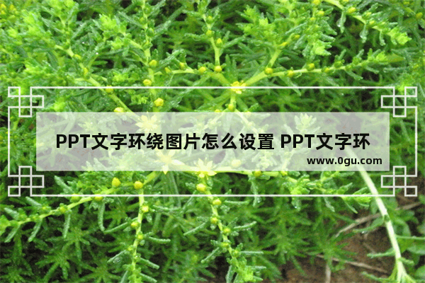 PPT文字环绕图片怎么设置 PPT文字环绕图片的方法