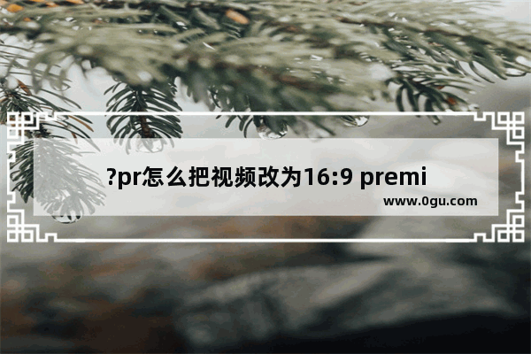 ?pr怎么把视频改为16:9 premiere将视频比例改成16:9的方法教程