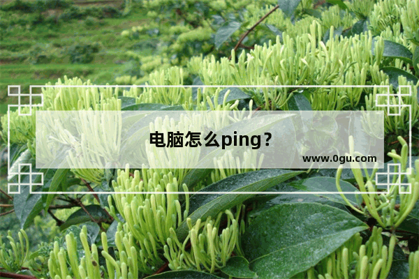 电脑怎么ping？