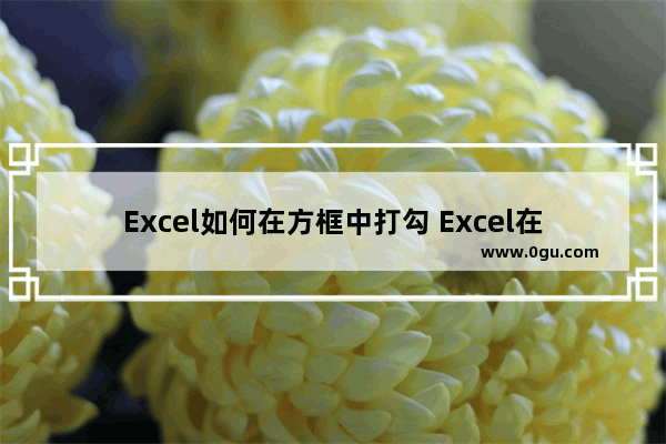 Excel如何在方框中打勾 Excel在方框中打勾的方法