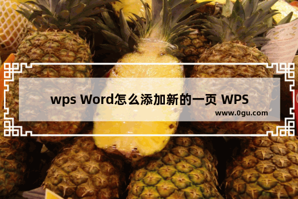 wps Word怎么添加新的一页 WPS Word文档新建空白页的方法