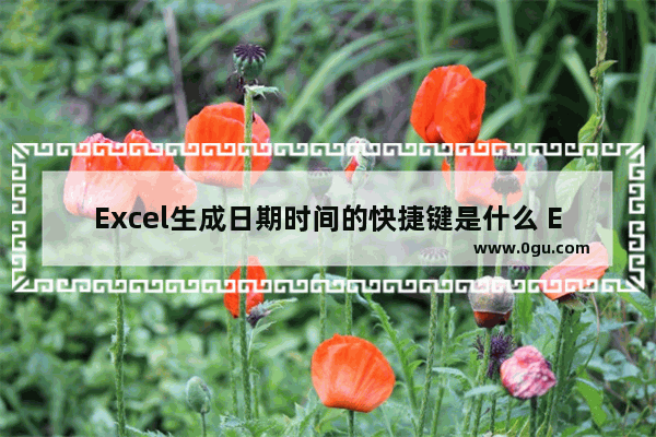 Excel生成日期时间的快捷键是什么 Excel快速生成日期时间的方法