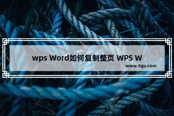 wps Word如何复制整页 WPS Word设置复制整页保留源格式的方法