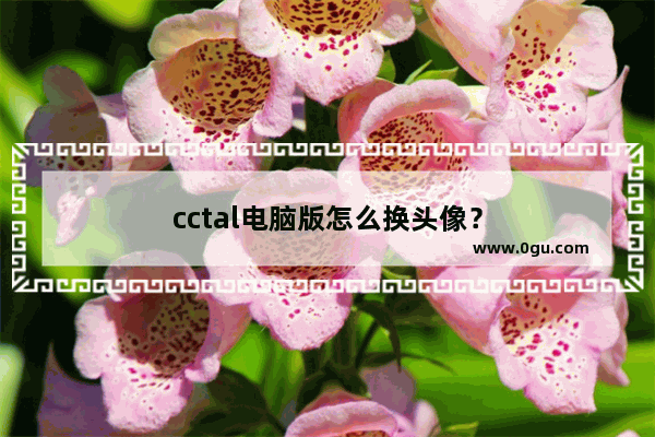 cctal电脑版怎么换头像？