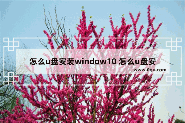 怎么u盘安装window10 怎么u盘安装系统win10系统