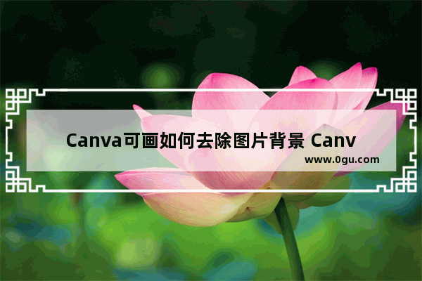 Canva可画如何去除图片背景 Canva可画去除图片背景的方法