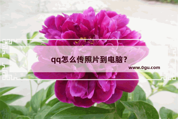 qq怎么传照片到电脑？