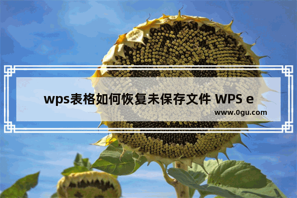 wps表格如何恢复未保存文件 WPS excel恢复未保存文件的方法