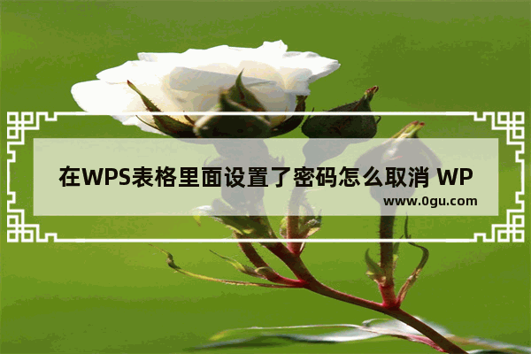 在WPS表格里面设置了密码怎么取消 WPS Excel取消表格设置的密码的方法