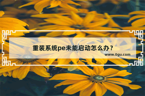 重装系统pe未能启动怎么办？