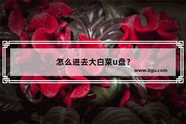 怎么进去大白菜u盘？