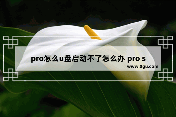 pro怎么u盘启动不了怎么办 pro series怎么用u盘启动