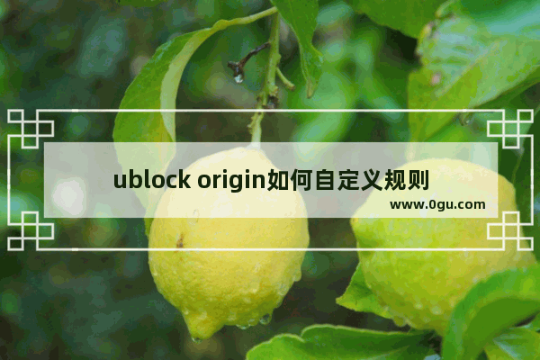 ublock origin如何自定义规则 ublock origin自定义规则的方法