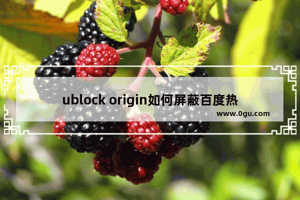 ublock origin如何屏蔽百度热搜 ublock origin屏蔽百度热搜的方法