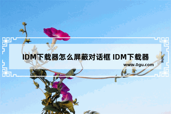 IDM下载器怎么屏蔽对话框 IDM下载器屏蔽对话框的方法