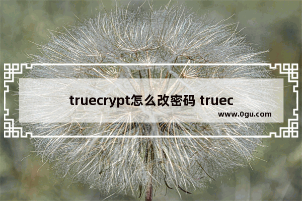 truecrypt怎么改密码 truecrypt密码如何找