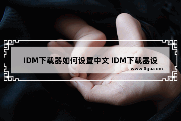 IDM下载器如何设置中文 IDM下载器设置中文的方法