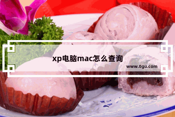 xp电脑mac怎么查询