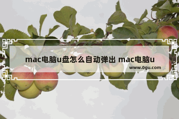 mac电脑u盘怎么自动弹出 mac电脑u盘怎么自动弹出来