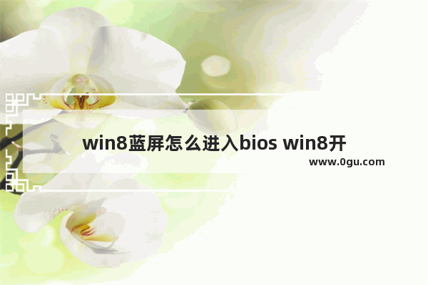 win8蓝屏怎么进入bios win8开机蓝屏无法进入桌面系统