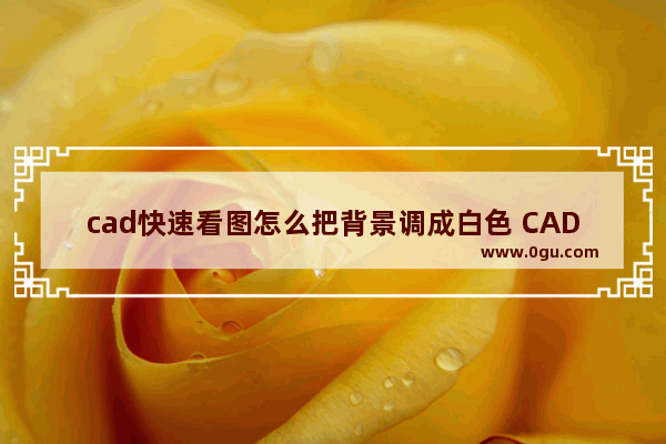 cad快速看图怎么把背景调成白色 CAD快速看图切换背景色的方法