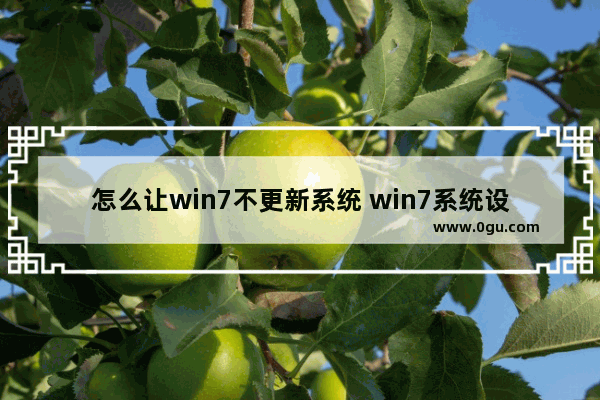 怎么让win7不更新系统 win7系统设置不更新流程